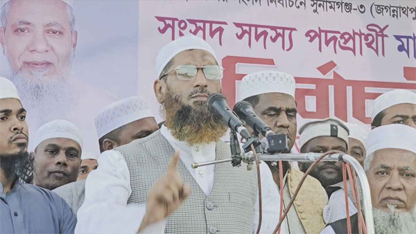 ক্ষমতা পরিবর্তনের লক্ষ্যে সারাদেশে গণজোয়ার সৃষ্টি হয়েছে: মামুনুল হক